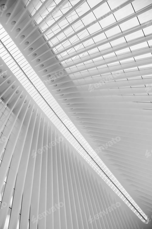 Preview: Study Of Patterns And Lines