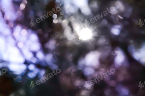 Preview: Blurred Exterior, Blur Background. Instagram Style.