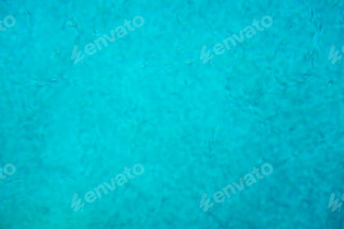 Preview: Natural Bokeh, Blurred Bokeh, Blur Background.