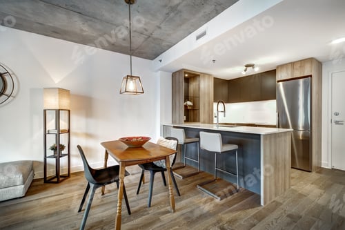 Preview: Canadian Apartment In New Apartment Building In Griffintown, Montreal Area