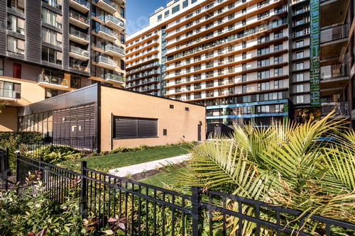 Preview: Canadian Apartment In New Apartment Building In Griffintown, Montreal Area