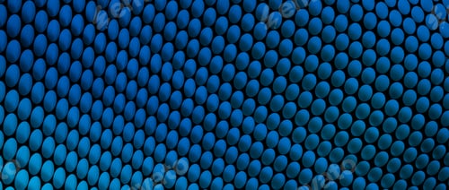 Preview: Study Of Patterns And Colours