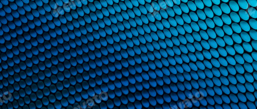 Preview: Study Of Patterns And Colours