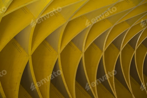 Preview: Study Of Patterns And Lines