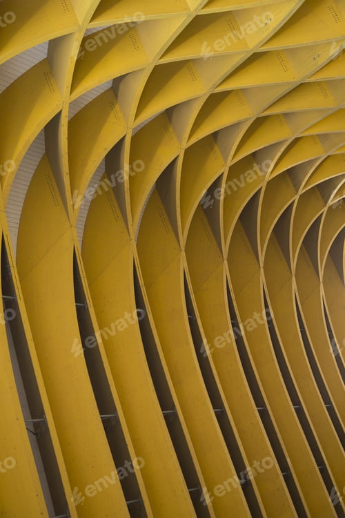 Preview: Study Of Patterns And Lines