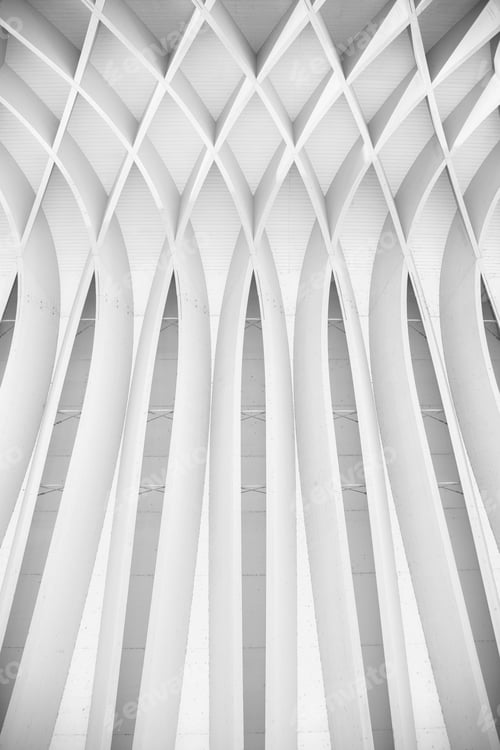 Preview: Study Of Patterns And Lines