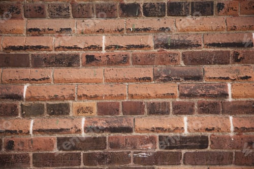 Visualização: Antecedentes 49