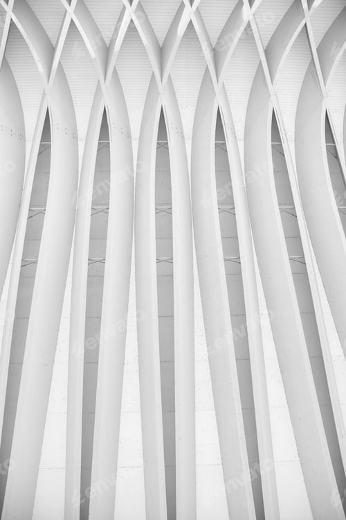 Preview: Study Of Patterns And Lines