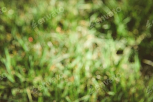 Preview: Natural Bokeh, Blurred Bokeh, Blur Background.