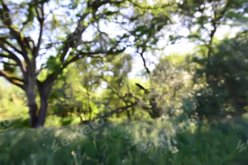 Preview: Blurred Exterior, Blur Background. Instagram Style.