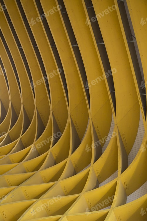 Preview: Study Of Patterns And Lines