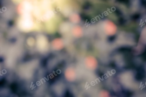 Preview: Natural Bokeh, Blurred Bokeh, Blur Background.