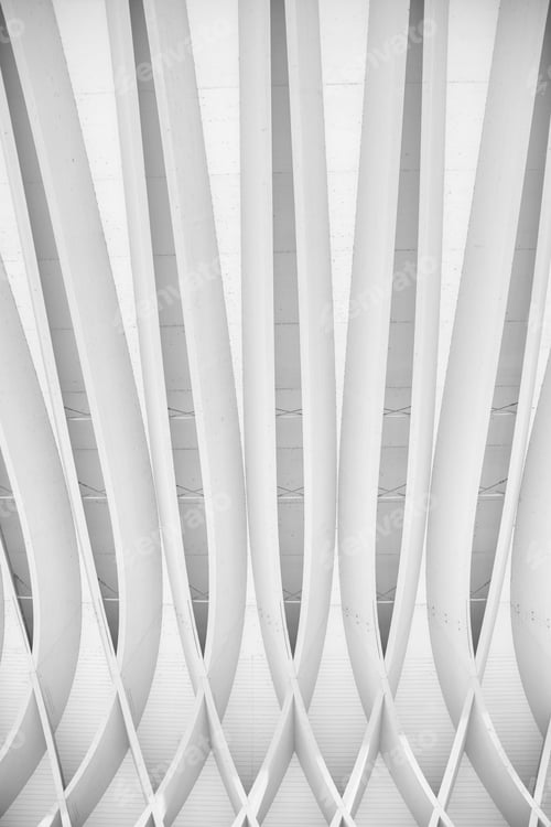 Preview: Study Of Patterns And Lines