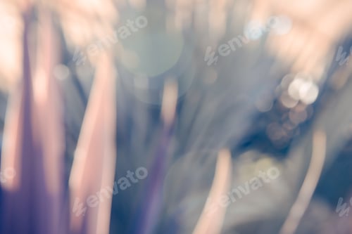 Preview: Natural Bokeh, Blurred Bokeh, Blur Background.