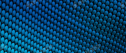 Preview: Study Of Patterns And Colours