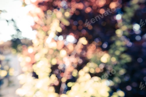 Preview: Natural Bokeh, Blurred Bokeh, Blur Background.