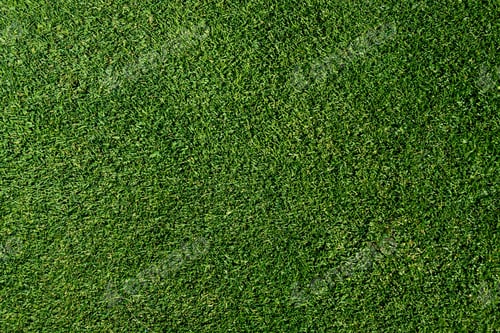 Preview: Top View Of Short Golf Putting Green Grass As A Background