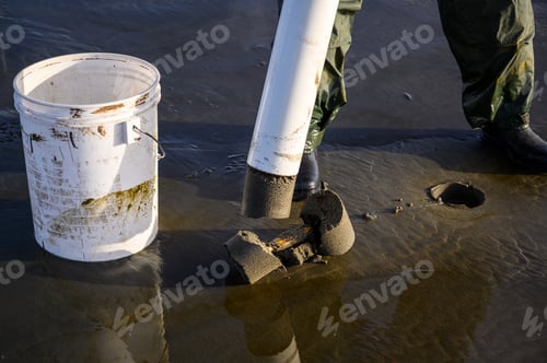 Preview: Senior Woman Using Clam Gun To Dig Razor Clams At The Beach, Clam In Sand Pile Dug Out, Ocean