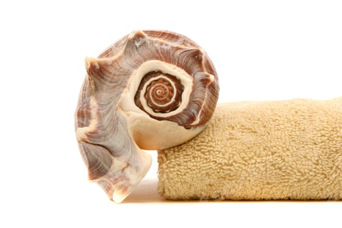 Preview: Spa Towel And Seashell On White Background