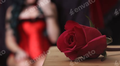 Preview: Red Rose With Woman In Red Corset In Background, Shallow Dof