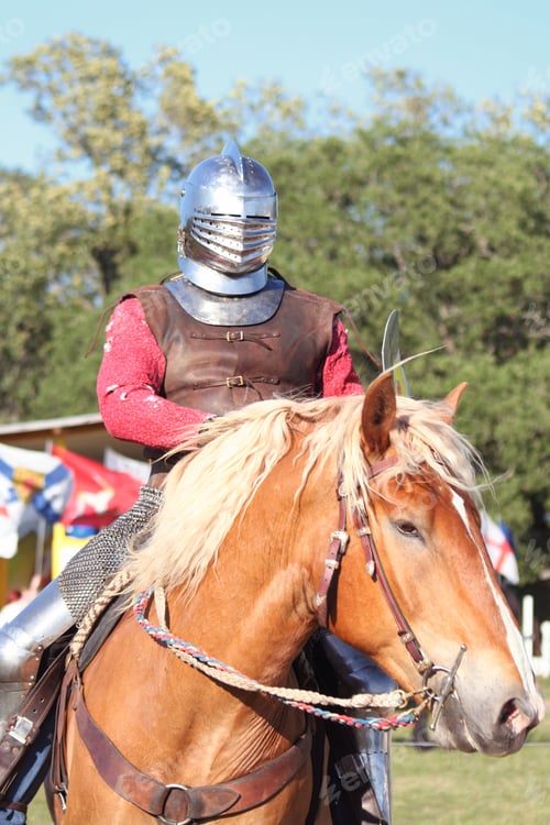 Preview: Knight On Horse