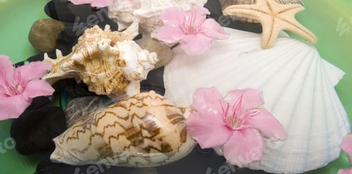 Preview: Aromatherapy With Flowers In Water