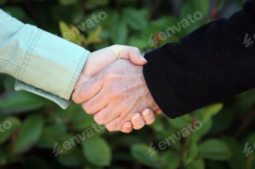 Preview: Business Handshake
