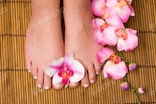 Preview: Pedicured Female Feet With Orchid