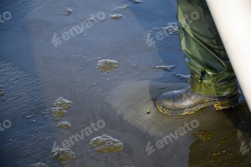 Preview: Rubber Booted Foot Testing Clam Dimple In Sand For Razor Clam, Ocean Shores, Washington State, Usa