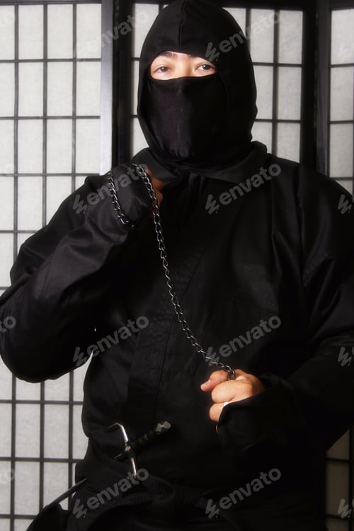 Preview: Ninja With Weapons