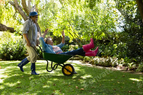 Preview: Senior Man Giving Woman Ride In Wheelbarrow In Garden
