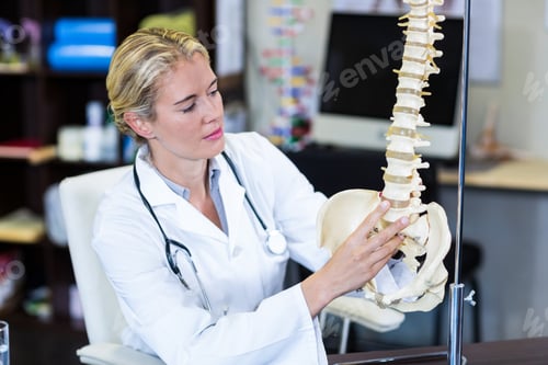 Visualização: Fisioterapeuta examinando o modelo da coluna