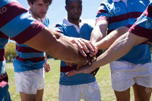 Preview: Cropped Image Of Rugby Team Holding Hands While Standing On Grassy Field