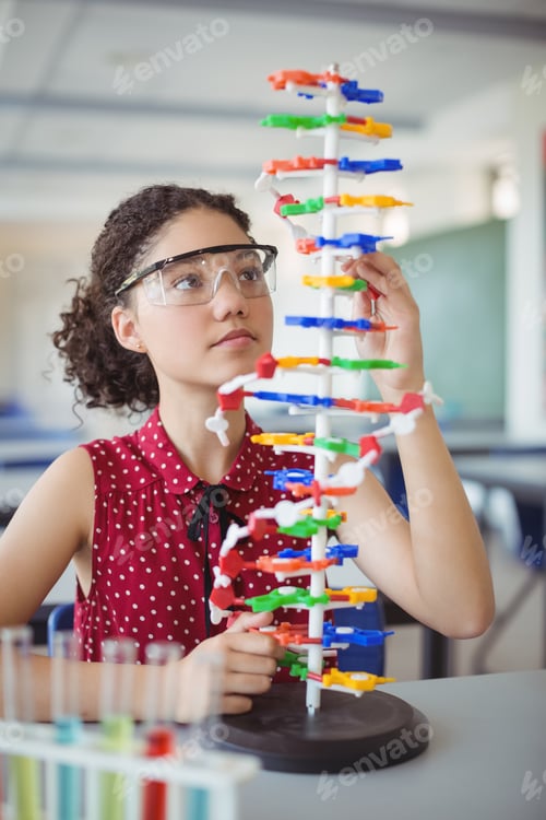 Preview: Attentive Schoolgirl Experimenting Molecule Model In Laboratory At School