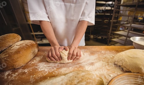 Preview: Mid-Section Of Female Baker Kneading A Dough In Bakery Shop