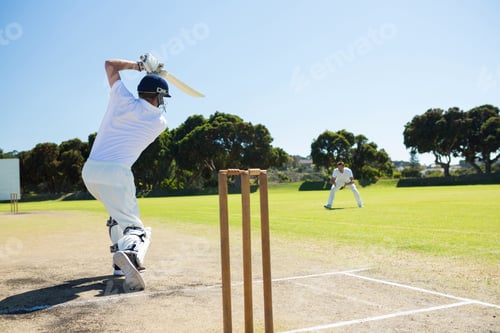 Preview: Rear View Of Player Batting While Playing Cricket On Field Against Clear Sky