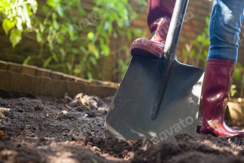 Preview: Surface Level View Of Senior Woman Standing With Shovel On Dirt At Backyard