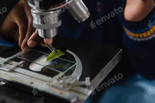 Preview: Mid-Section Of Schoolgirl Experimenting With Leaf
