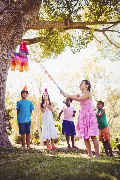 Preview: Little Girl Is Going To Broke The Pinata For Her Birthday In A Park