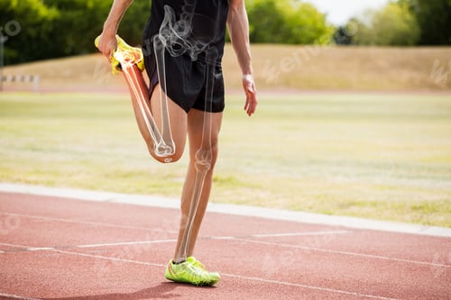 Preview: Digital Composite Of Highlighted Bones Of Athlete Man Stretching On Race Track
