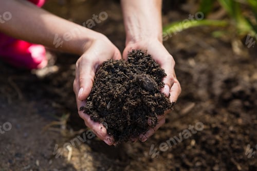 Preview: Close-Up Of Woman Holding Soil In Garden On A Sunny Day