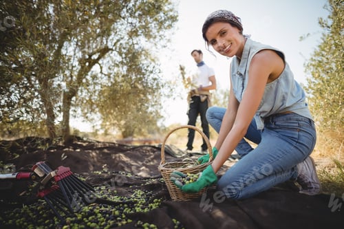 Preview: Portrait Of Woman Collecting Olives With Man In Background At Farm