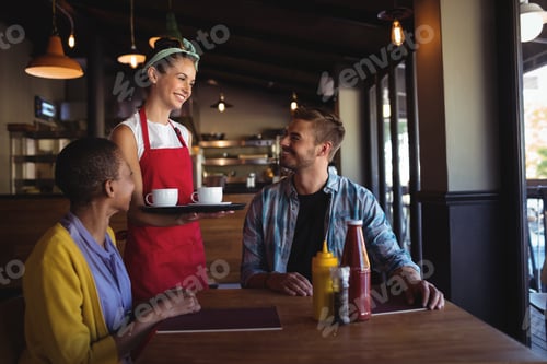 Preview: Waitress Interacting With Customer At Restaurant