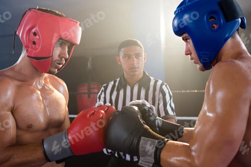 Preview: Referee Looking At Male Boxers Punching Gloves In Boxing Ring