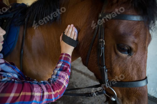 Preview: Girl Grooming The Horse In The Ranch On A Sunny Day