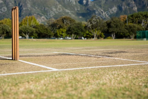 Preview: Close Up Of Stumps At Pitch On Sunny Day