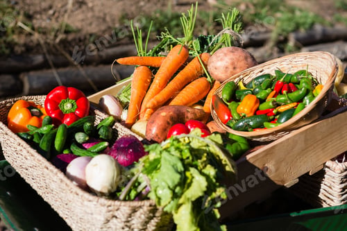Preview: Close-Up Of Various Fresh Vegetables In Wheelbarrow