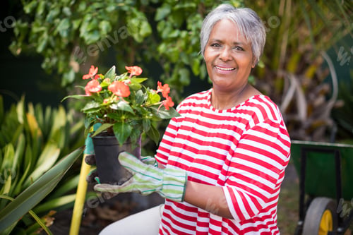Preview: Portrait Of Smiling Woman Holding Potted Plant While Kneeling In Yard