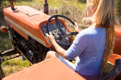 Preview: Rear View Of Woman Driving Tractor In Olive Farm On A Sunny Day