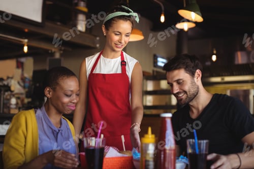 Preview: Waitress Serving Burger And French Fries To Customer At Restaurant